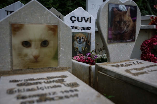 Hayvanseverler evcil hayvan mezarlığında kaybettikleri dostlarını ziyaret edebiliyor